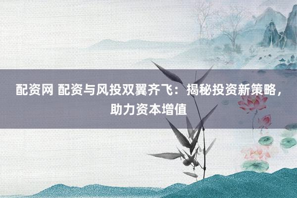 配资网 配资与风投双翼齐飞：揭秘投资新策略，助力资本增值