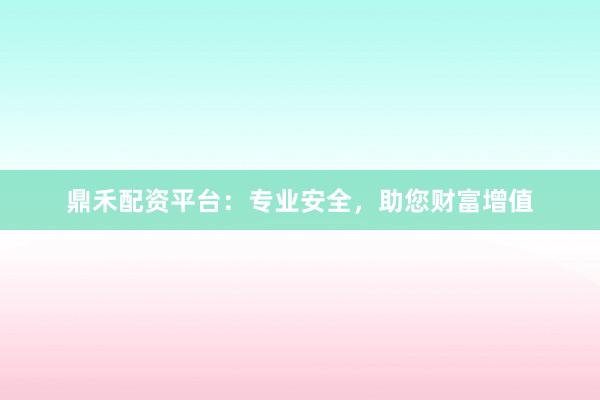 鼎禾配资平台：专业安全，助您财富增值
