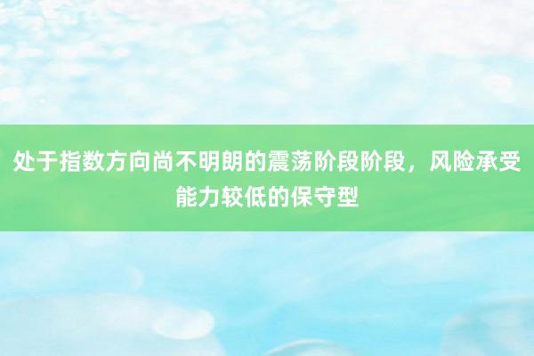 处于指数方向尚不明朗的震荡阶段阶段，风险承受能力较低的保守型