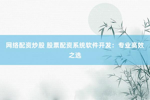网络配资炒股 股票配资系统软件开发：专业高效之选