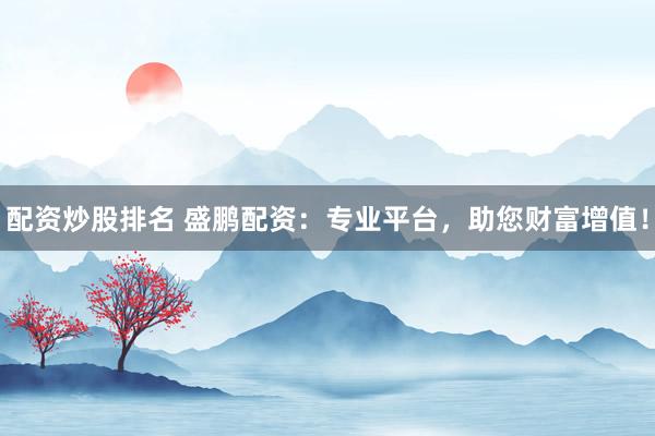 配资炒股排名 盛鹏配资：专业平台，助您财富增值！