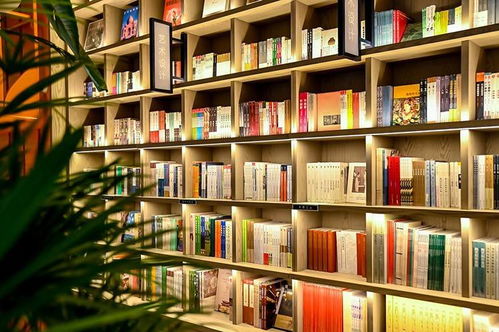 青岛首家山间书店开业 打造绿色精品文旅主题